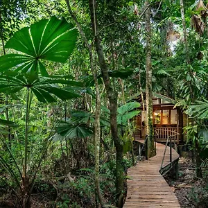 https://daintree-wilderness-lodge.queenslandhotels.net