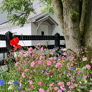 https://beech-tree-cottage.belfasthotelsireland.com